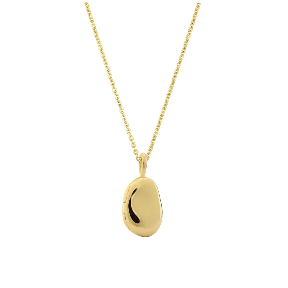 Alga Locket Necklace - Cable Chain