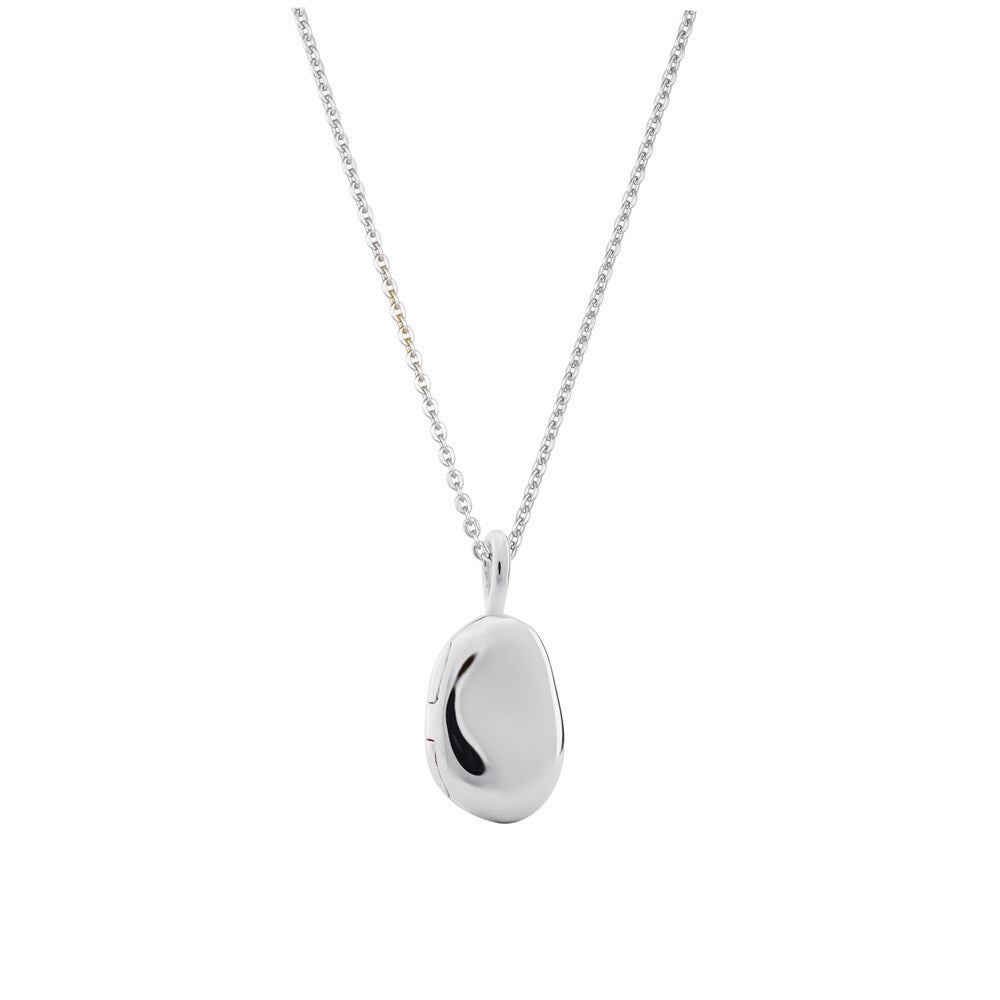 Alga Locket Necklace - Cable Chain