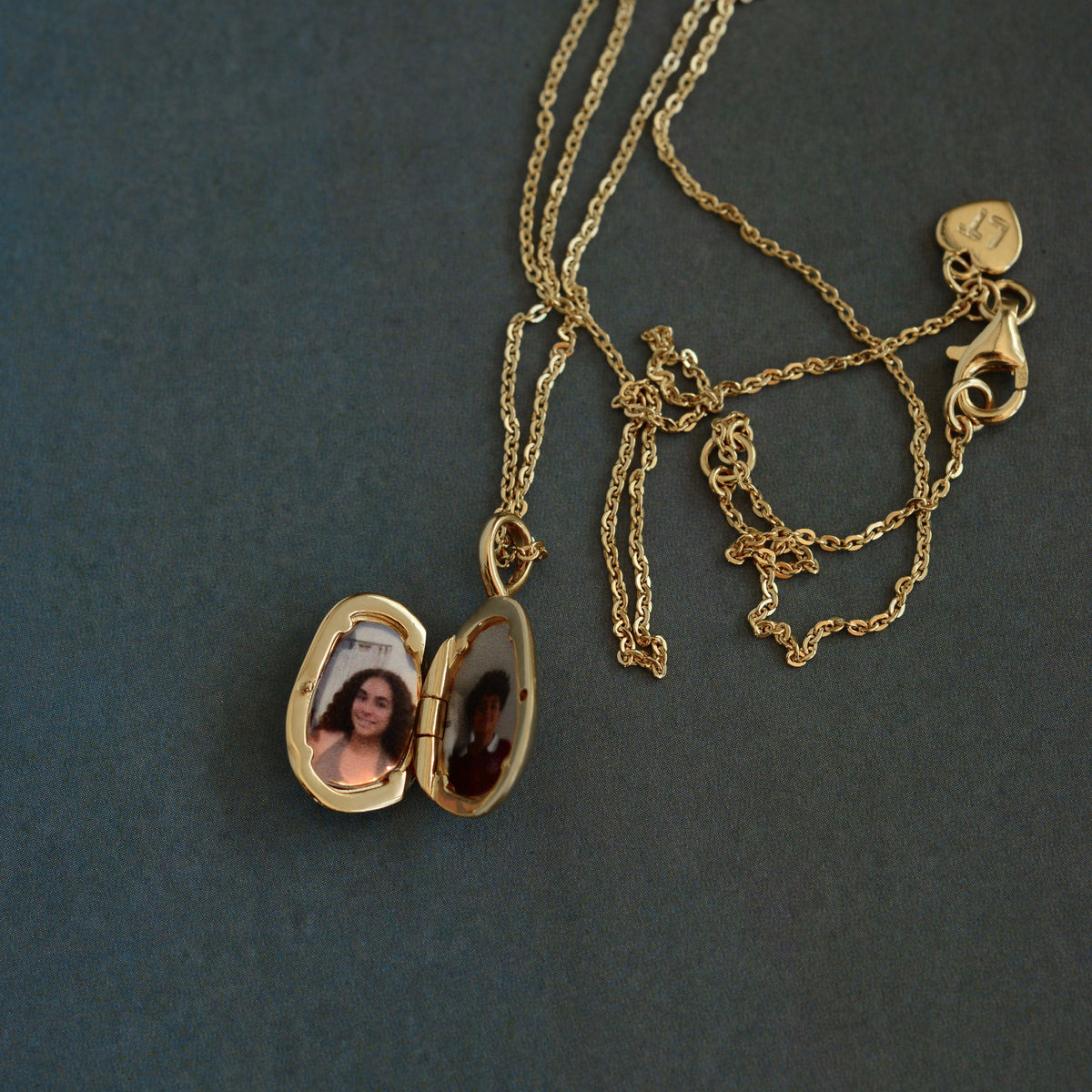 Alga Locket Necklace - Cable Chain