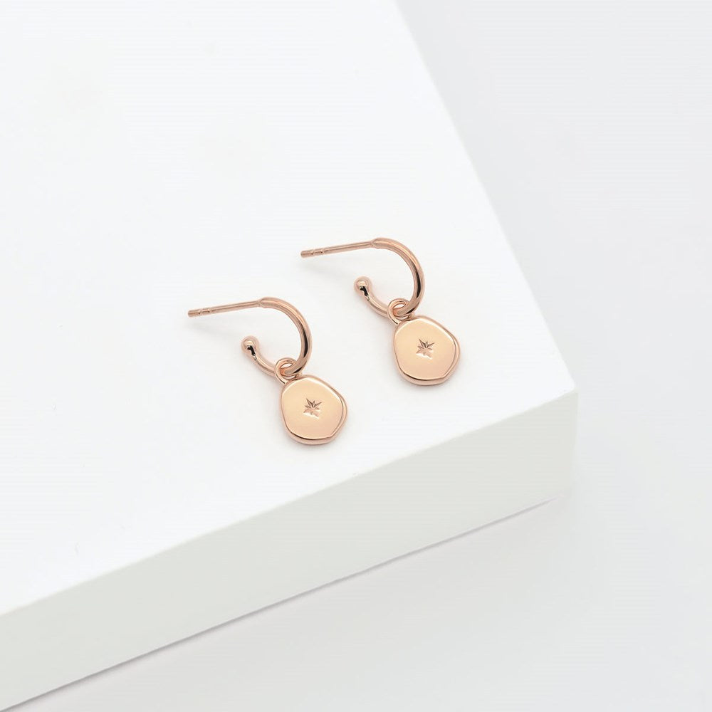 Vega Hoop Earrings – Linda Tahija Jewellery